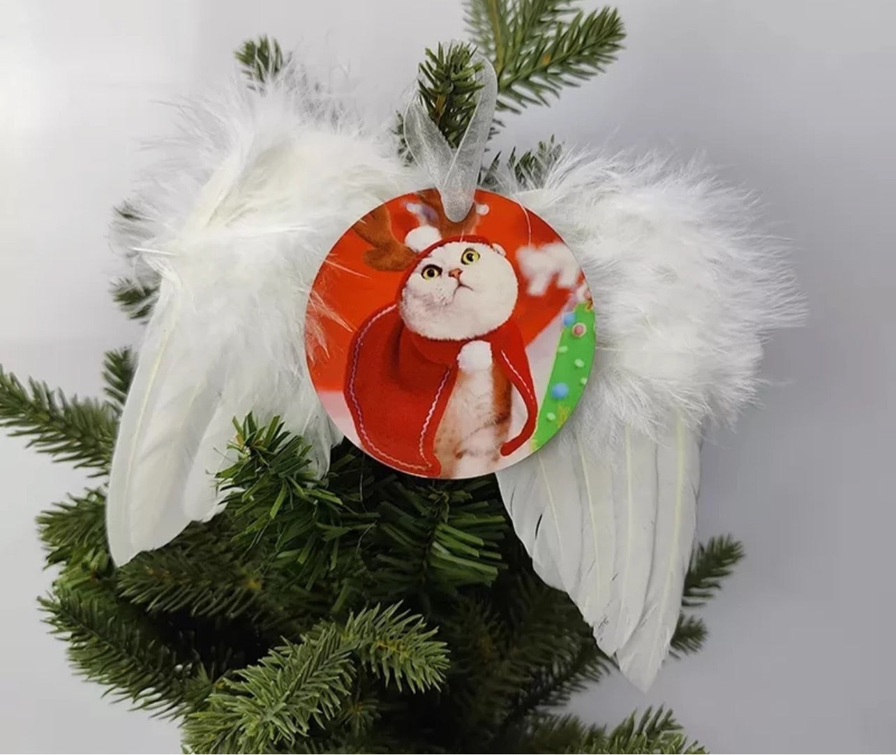 Feathered Photo ornaments